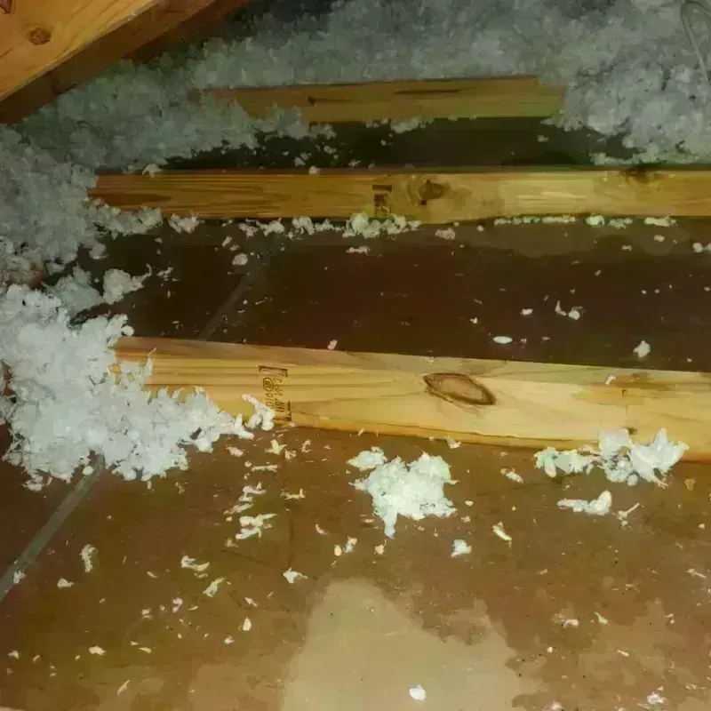 Attic Water Damage in Walton County, FL